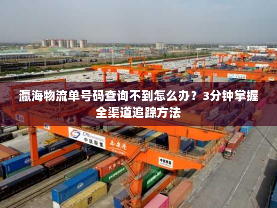 瀛海物流单号码查询不到怎么办?3分钟掌握全渠道追踪方法 瀛海物流单号码查询不到怎么办?3分钟掌握全渠道追踪方法