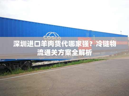 深圳进口羊肉货代哪家强?冷链物流通关方案全解析 深圳进口羊肉货代哪家强?冷链物流通关方案全解析