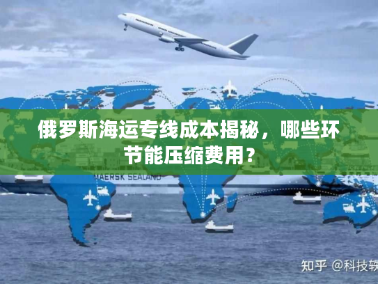 俄罗斯海运专线成本揭秘，哪些环节能压缩费用？