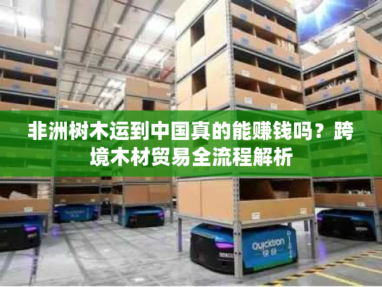 非洲树木运到中国真的能赚钱吗？跨境木材贸易全流程解析
