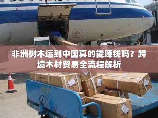 非洲树木运到中国真的能赚钱吗？跨境木材贸易全流程解析