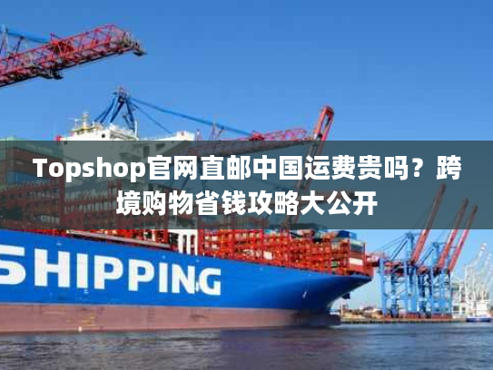 Topshop官网直邮中国运费贵吗?跨境购物省钱攻略大公开 Topshop官网直邮中国运费贵吗?跨境购物省钱攻略大公开