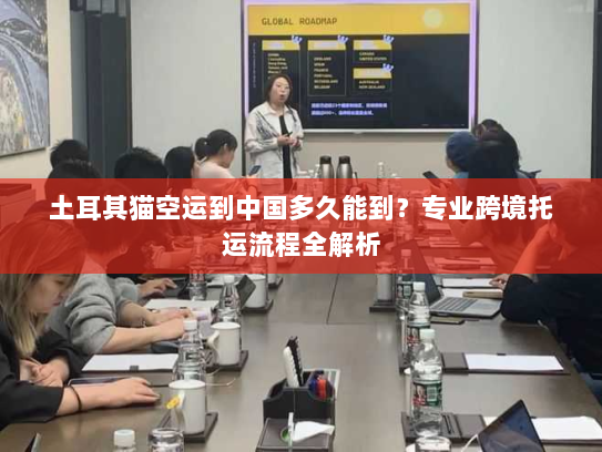 土耳其猫空运到中国多久能到?专业跨境托运流程全解析 土耳其猫空运到中国多久能到?专业跨境托运流程全解析