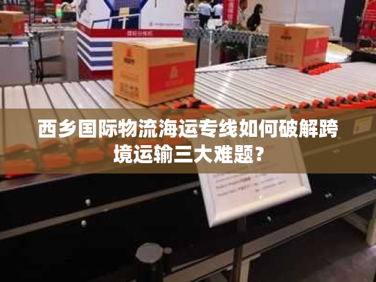 西乡国际物流海运专线如何破解跨境运输三大难题？