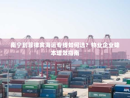 南宁到菲律宾海运专线如何选?物业企业降本增效指南 南宁到菲律宾海运专线如何选?物业企业降本增效指南