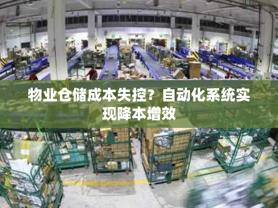 物业仓储成本失控？自动化系统实现降本增效