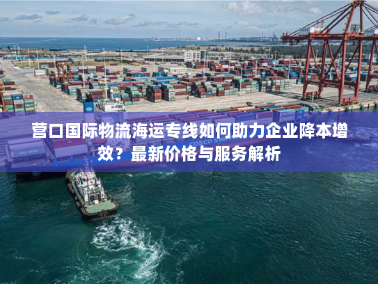 营口国际物流海运专线如何助力企业降本增效？最新价格与服务解析