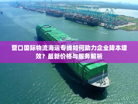 营口国际物流海运专线如何助力企业降本增效？最新价格与服务解析