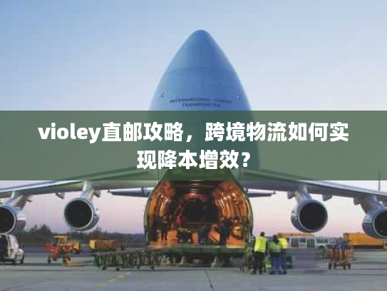 violey直邮攻略,跨境物流如何实现降本增效? violey直邮攻略,跨境物流如何实现降本增效?