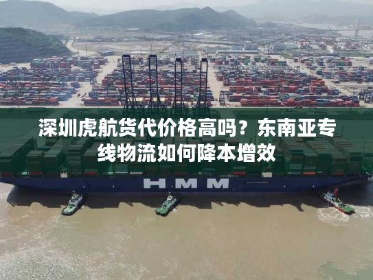 深圳虎航货代价格高吗？东南亚专线物流如何降本增效