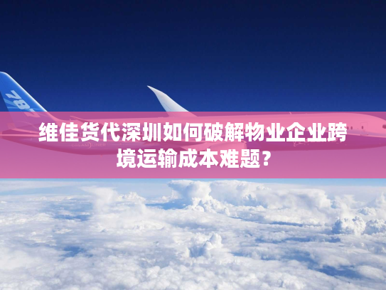 维佳货代深圳如何破解物业企业跨境运输成本难题？