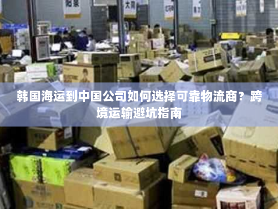 韩国海运到中国公司如何选择可靠物流商？跨境运输避坑指南