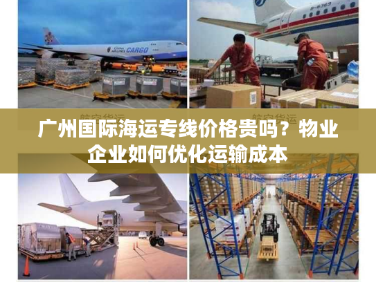 广州国际海运专线价格贵吗？物业企业如何优化运输成本