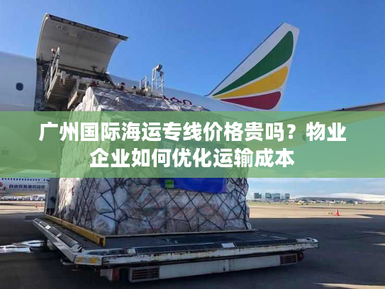 广州国际海运专线价格贵吗？物业企业如何优化运输成本
