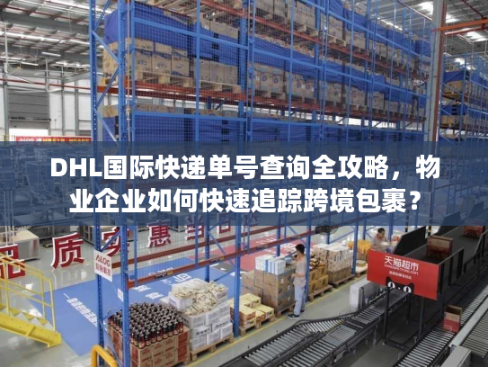 DHL国际快递单号查询全攻略，物业企业如何快速追踪跨境包裹？