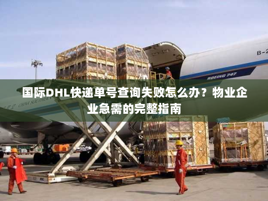 国际DHL快递单号查询失败怎么办？物业企业急需的完整指南