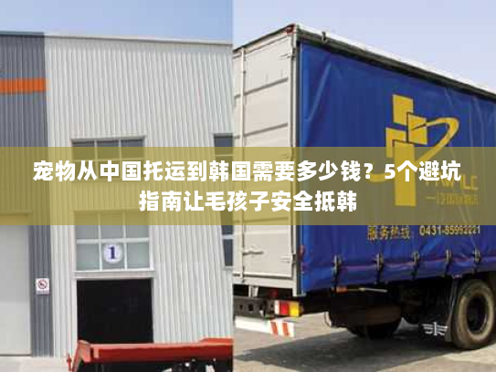 宠物从中国托运到韩国需要多少钱？5个避坑指南让毛孩子安全抵韩