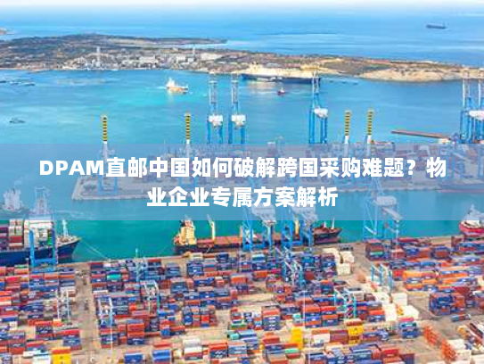 DPAM直邮中国如何破解跨国采购难题？物业企业专属方案解析