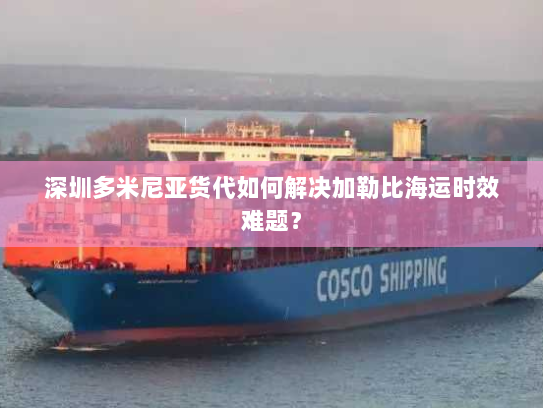 深圳多米尼亚货代如何解决加勒比海运时效难题？