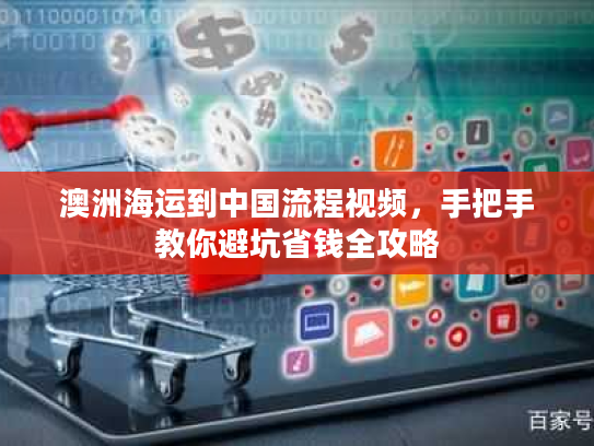 澳洲海运到中国流程视频，手把手教你避坑省钱全攻略