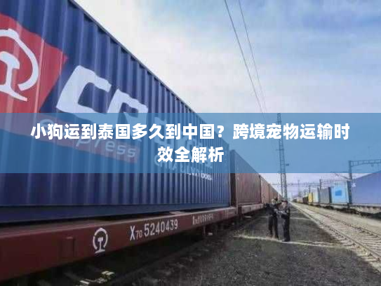 小狗运到泰国多久到中国?跨境宠物运输时效全解析 小狗运到泰国多久到中国?跨境宠物运输时效全解析
