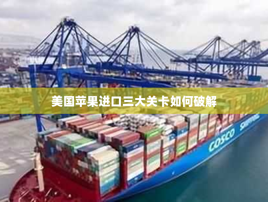 美国苹果进口三大关卡如何破解