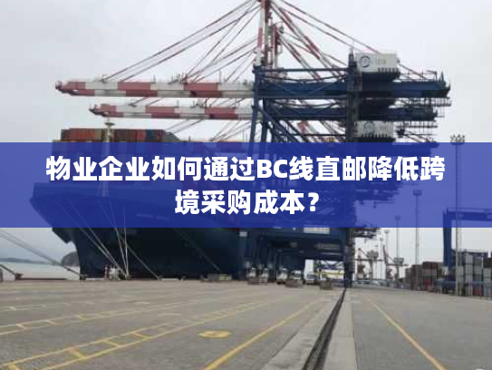 物业企业如何通过BC线直邮降低跨境采购成本？