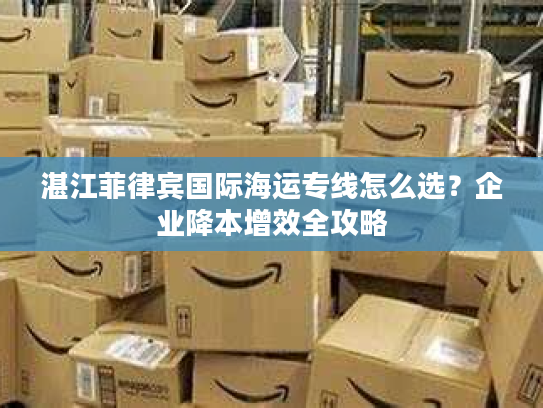 湛江菲律宾国际海运专线怎么选？企业降本增效全攻略