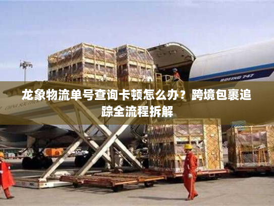 龙象物流单号查询卡顿怎么办?跨境包裹追踪全流程拆解 龙象物流单号查询卡顿怎么办?跨境包裹追踪全流程拆解