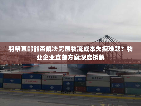 羽希直邮能否解决跨国物流成本失控难题？物业企业直邮方案深度拆解