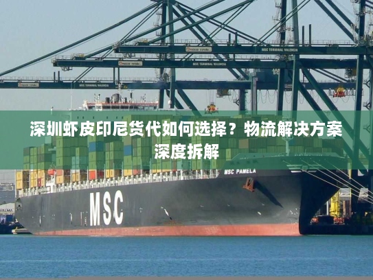深圳虾皮印尼货代如何选择?物流解决方案深度拆解 深圳虾皮印尼货代如何选择?物流解决方案深度拆解