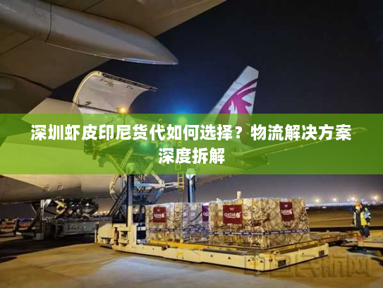 深圳虾皮印尼货代如何选择?物流解决方案深度拆解 深圳虾皮印尼货代如何选择?物流解决方案深度拆解
