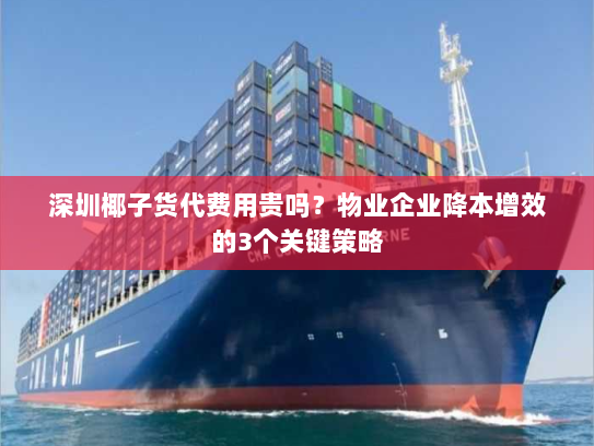 深圳椰子货代费用贵吗?物业企业降本增效的3个关键策略 深圳椰子货代费用贵吗?物业企业降本增效的3个关键策略