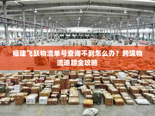 福建飞跃物流单号查询不到怎么办？跨境物流追踪全攻略