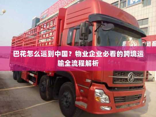 巴花怎么运到中国?物业企业必看的跨境运输全流程解析 巴花怎么运到中国?物业企业必看的跨境运输全流程解析