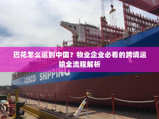 巴花怎么运到中国?物业企业必看的跨境运输全流程解析 巴花怎么运到中国?物业企业必看的跨境运输全流程解析