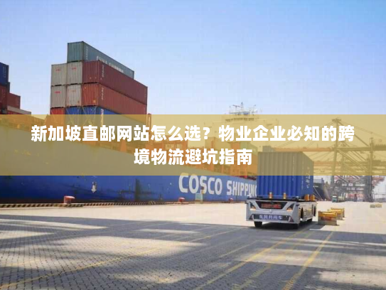 新加坡直邮网站怎么选？物业企业必知的跨境物流避坑指南