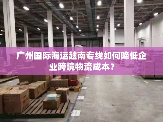 广州国际海运越南专线如何降低企业跨境物流成本？