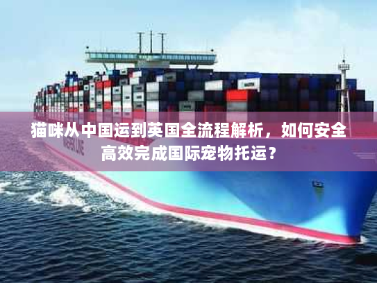 猫咪从中国运到英国全流程解析,如何安全高效完成国际宠物托运? 猫咪从中国运到英国全流程解析,如何安全高效完成国际宠物托运?