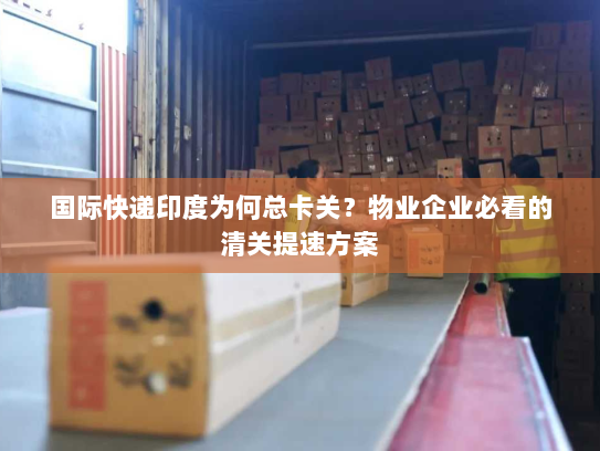 国际快递印度为何总卡关？物业企业必看的清关提速方案