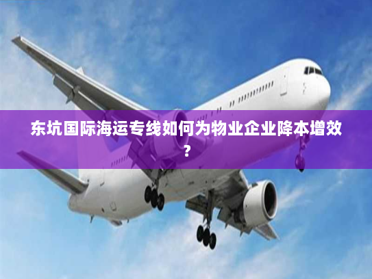 东坑国际海运专线如何为物业企业降本增效? 东坑国际海运专线如何为物业企业降本增效?