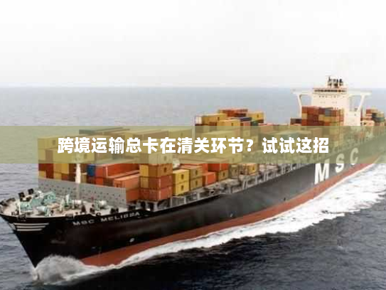 跨境运输总卡在清关环节?试试这招 跨境运输总卡在清关环节?试试这招