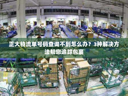 正大物流单号码查询不到怎么办?3种解决方法帮您追踪包裹 正大物流单号码查询不到怎么办?3种解决方法帮您追踪包裹