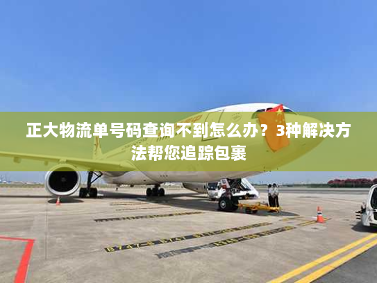 正大物流单号码查询不到怎么办?3种解决方法帮您追踪包裹 正大物流单号码查询不到怎么办?3种解决方法帮您追踪包裹