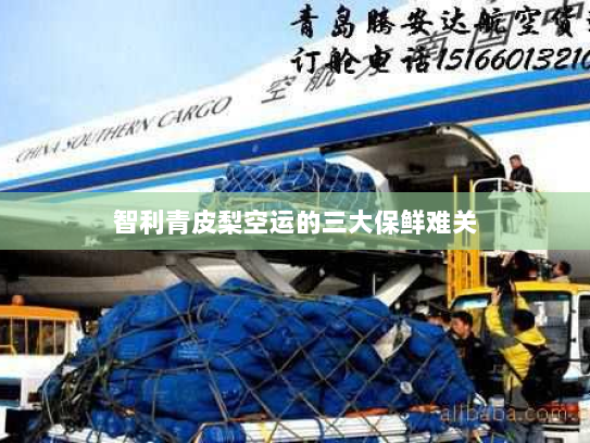 智利青皮梨空运的三大保鲜难关 智利青皮梨空运的三大保鲜难关