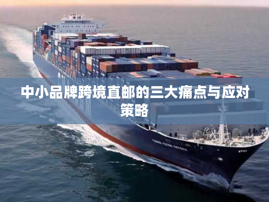 中小品牌跨境直邮的三大痛点与应对策略
