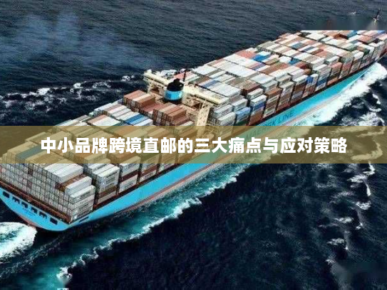 中小品牌跨境直邮的三大痛点与应对策略 中小品牌跨境直邮的三大痛点与应对策略