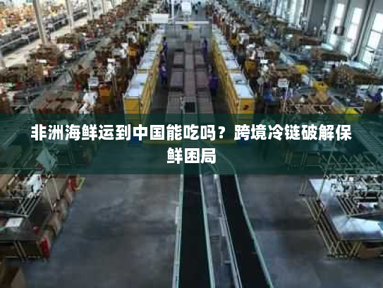 非洲海鲜运到中国能吃吗？跨境冷链破解保鲜困局