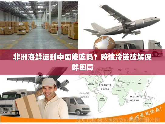 非洲海鲜运到中国能吃吗？跨境冷链破解保鲜困局