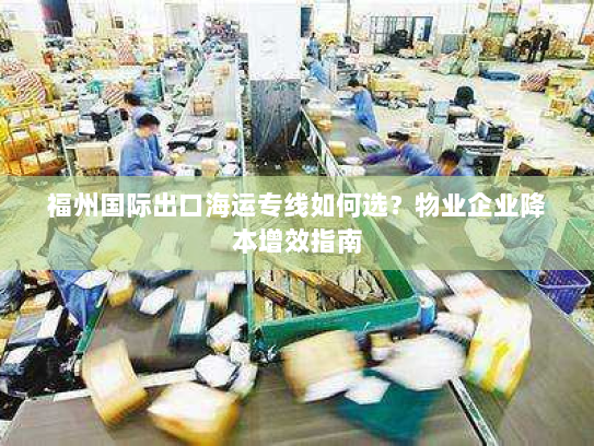 福州国际出口海运专线如何选？物业企业降本增效指南